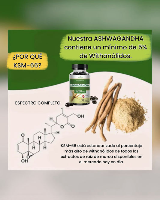 Ashwagandha Extra Fuerte 1200 mg