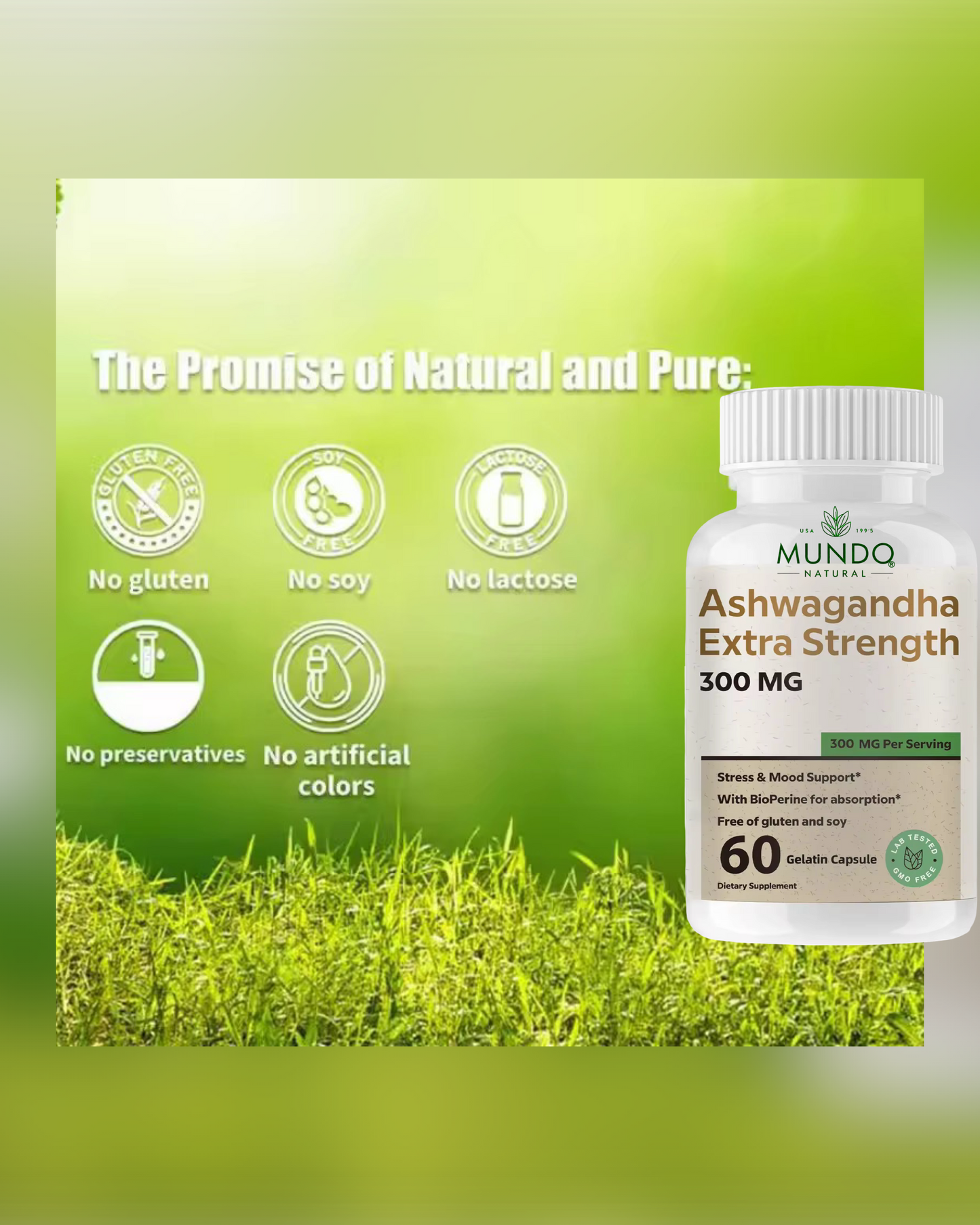Ashwagandha fortalece el sistema inmunológico, mejora la salud y la resistencia