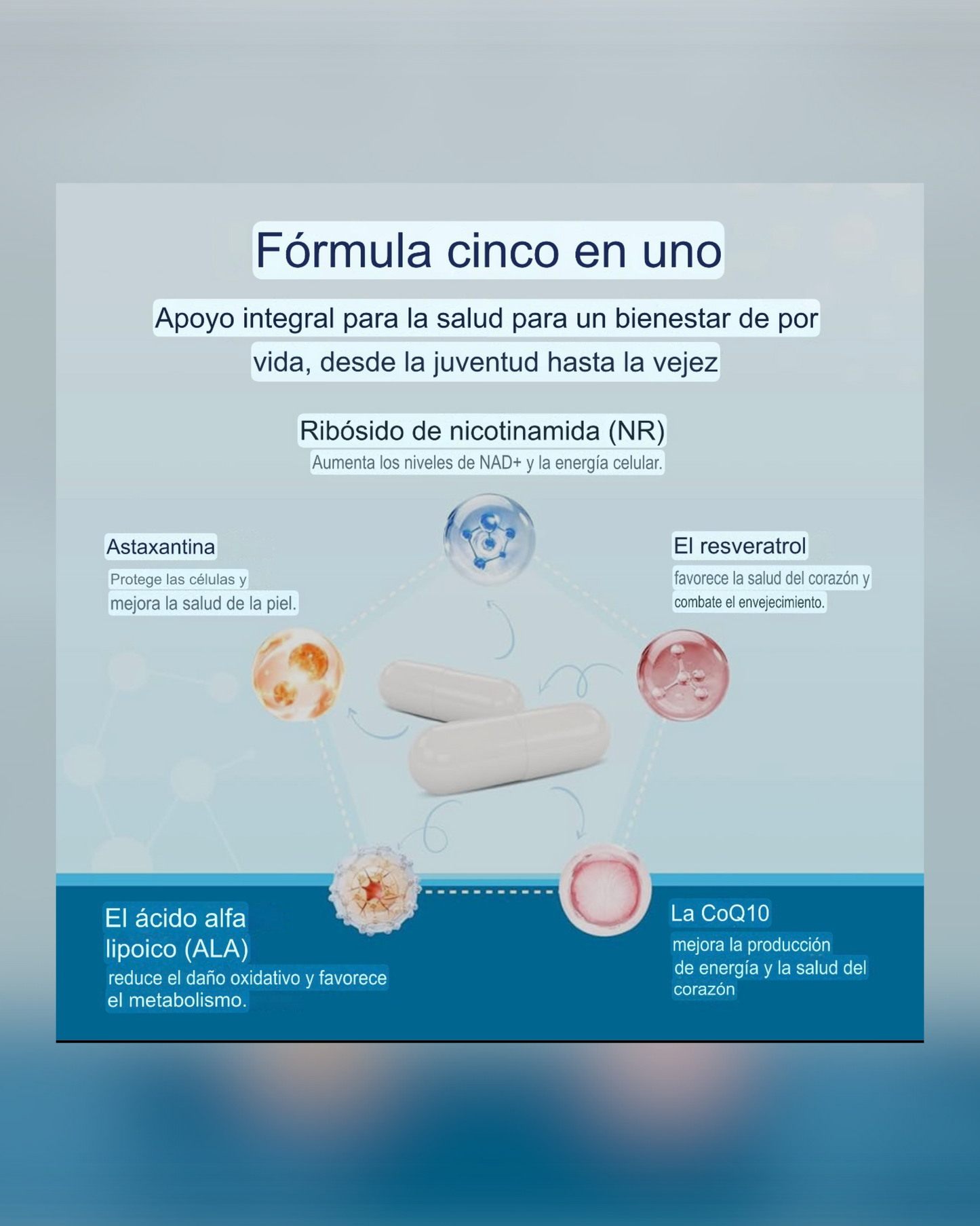 NAD - Resveratrol Berberina Ácido Hialurónico 500 mg Anti-envejecimiento