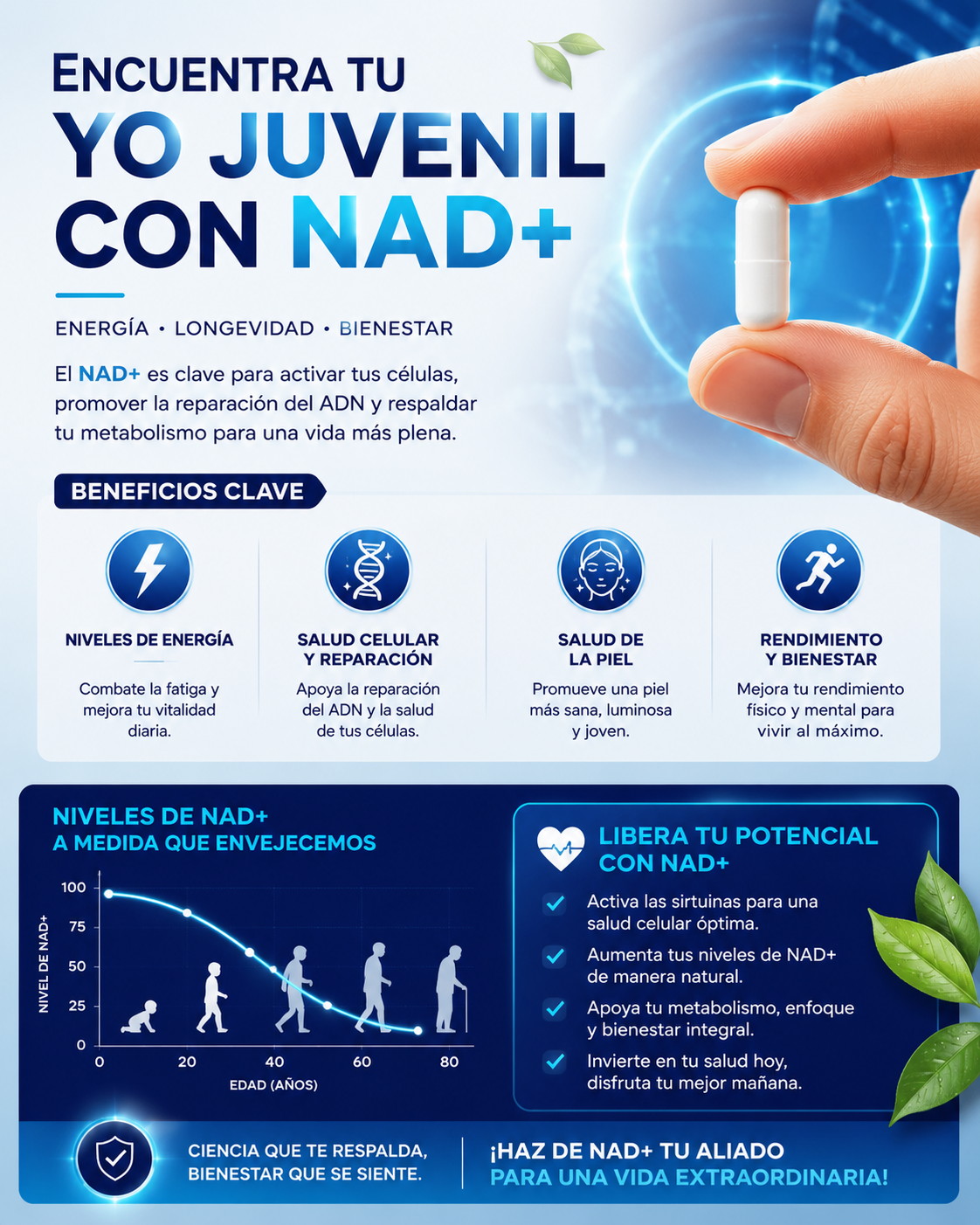 NAD - Resveratrol Berberina Ácido Hialurónico 500 mg Anti-envejecimiento