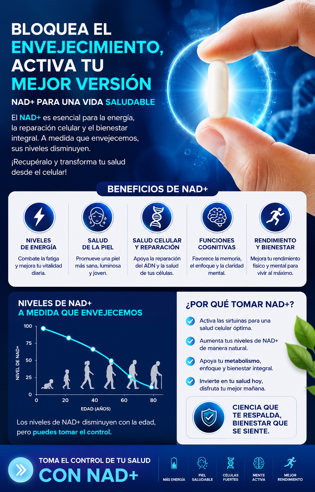 NAD - Resveratrol Berberina Ácido Hialurónico 500 mg Anti-envejecimiento