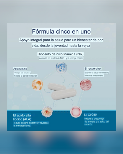 NAD - Resveratrol Berberina Ácido Hialurónico 500 mg Anti-envejecimiento