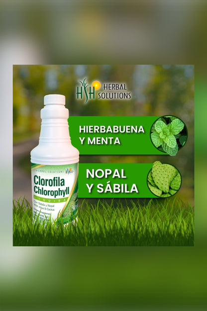 NV Clorofila con sábila y nopal