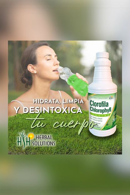 NV Clorofila con sábila y nopal